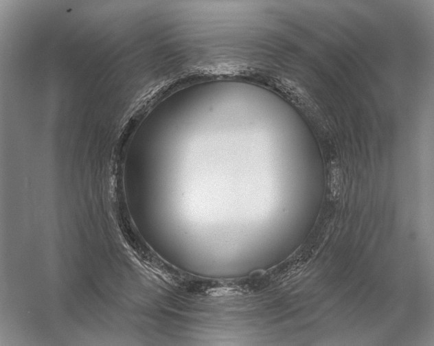 X0000056350544200509232108