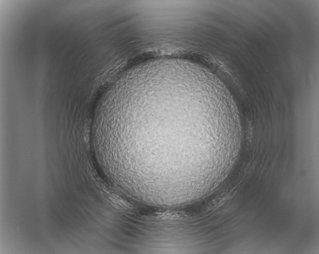 X0000056350545200509232108