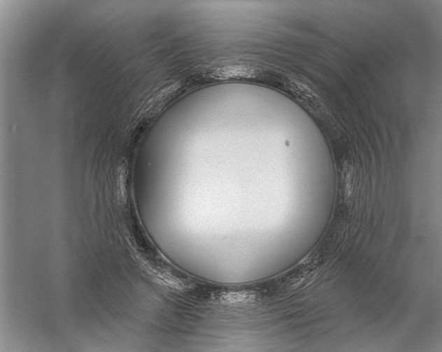 X0000056350546200509232108