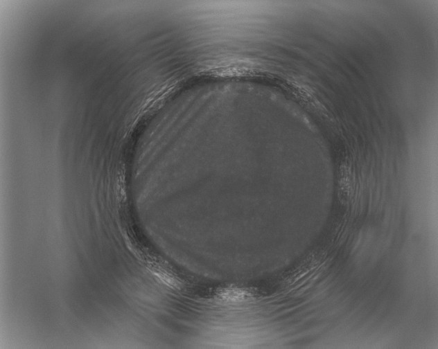 X0000056350547200509232108