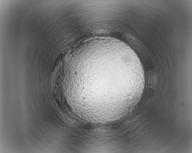 X0000056350550200509232108