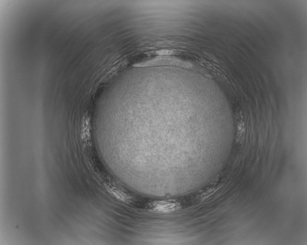 X0000056350555200509232108