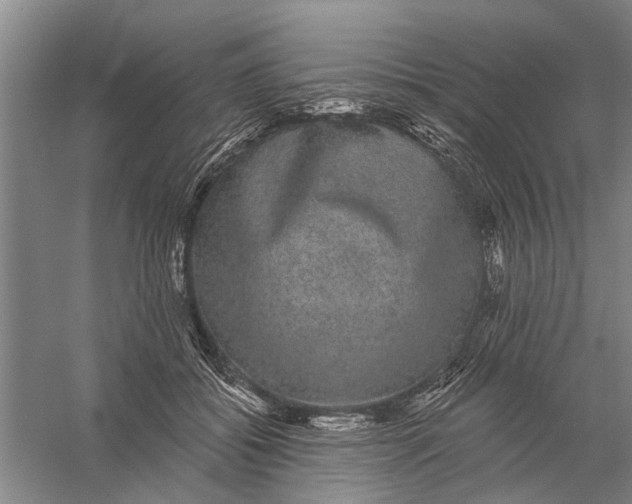 X0000056350556200509232108