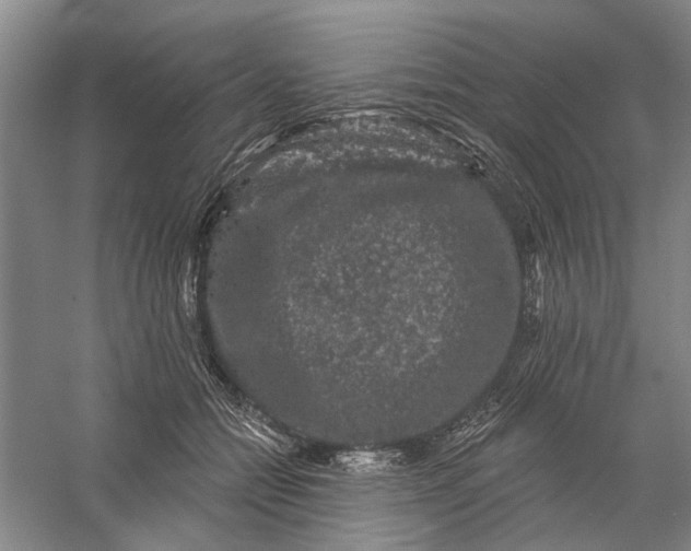 X0000056350558200509232108