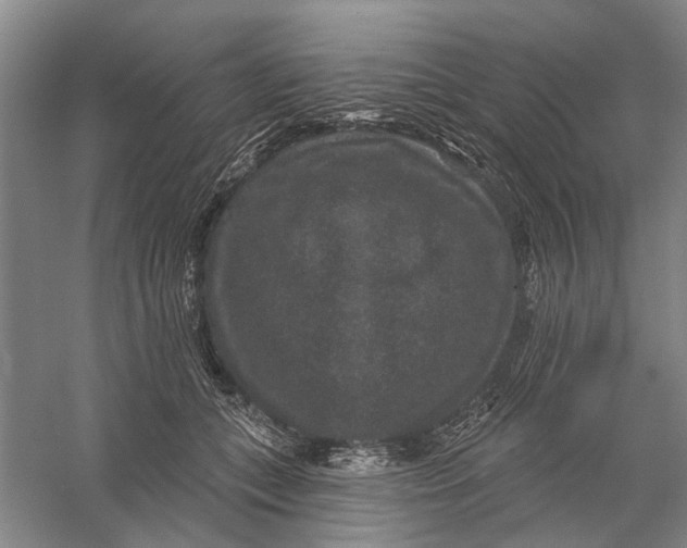 X0000056350559200509232108