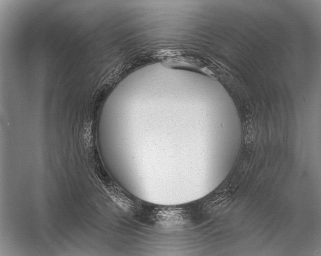 X0000056350560200509232108