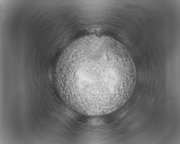 X0000056350561200509232108