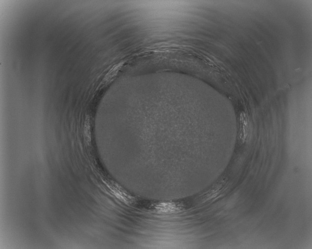 X0000056350562200509232108