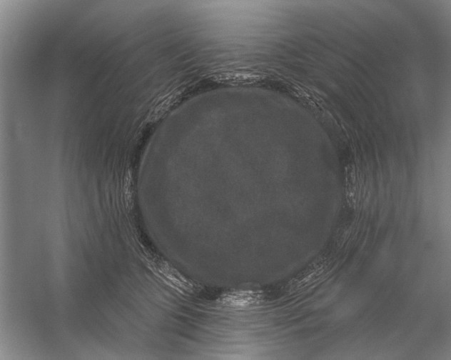 X0000056350563200509232108