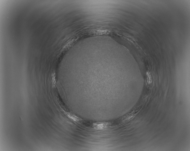 X0000056350564200509232108