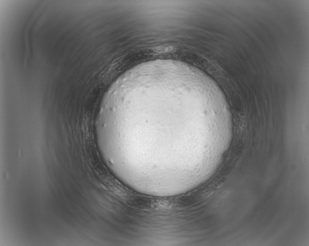 X0000056350565200509232108