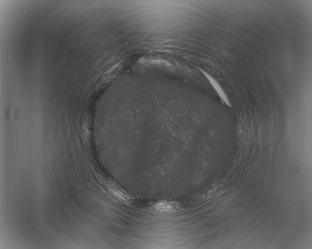 X0000056350566200509232108