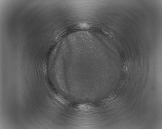 X0000056350568200509232108