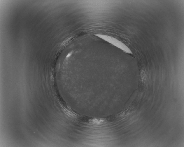 X0000056350570200509232108