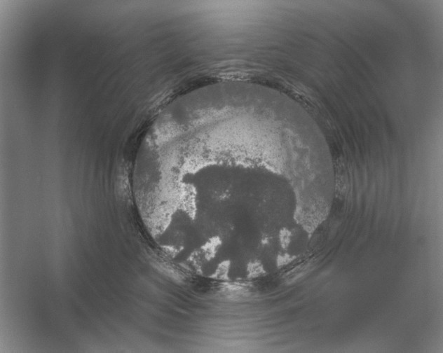 X0000056350573200509232108