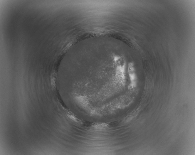 X0000056350576200509232108