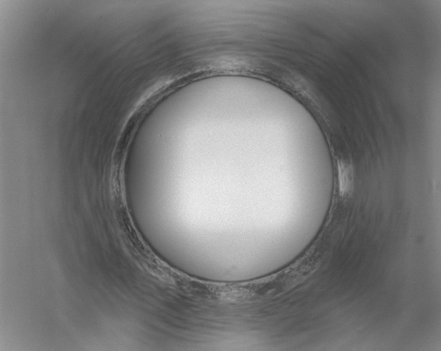 X0000056350579200509232108