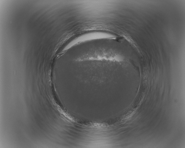 X0000056350585200509232107