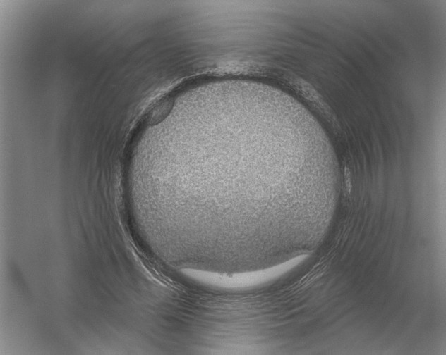 X0000056350588200509232107