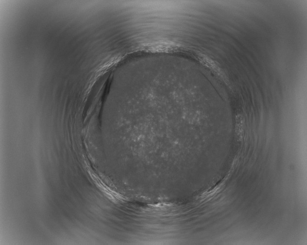 X0000056350589200509232107