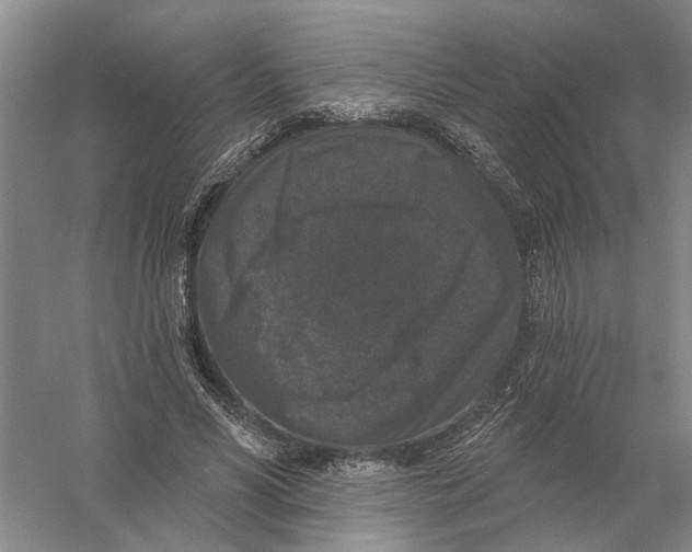 X0000056350590200509232107