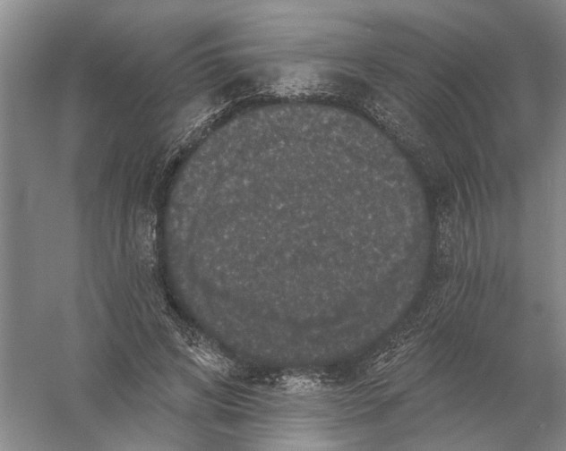 X0000056350592200509232107