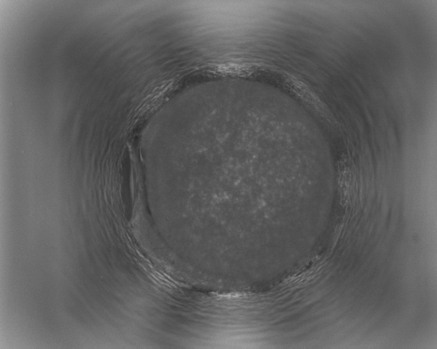 X0000056350593200509232107