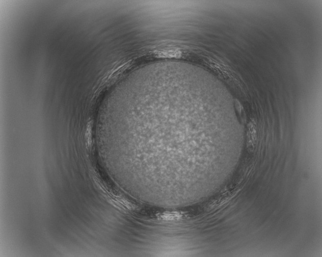 X0000056350600200509232107