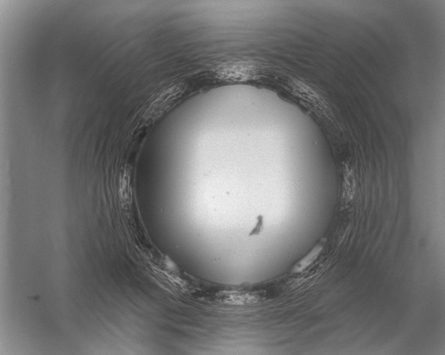 X0000056350601200509232107