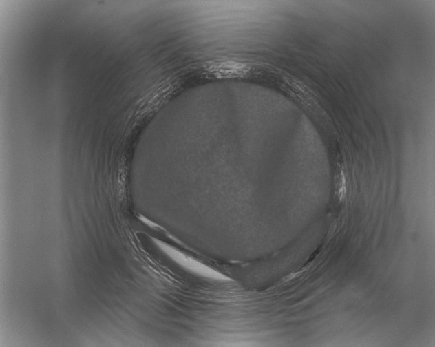 X0000056350604200509232107