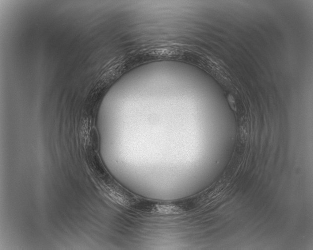 X0000056350605200509232107