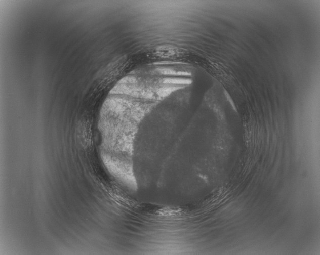 X0000056350606200509232107