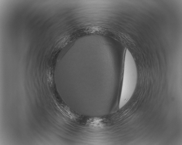 X0000056350607200509232107