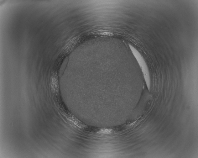 X0000056350609200509232107