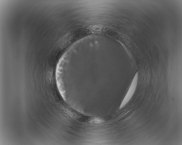 X0000056350610200509232107