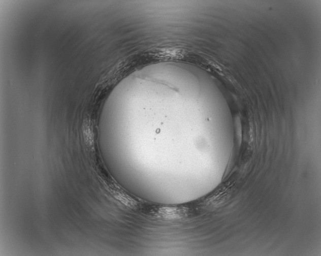 X0000056350613200509232107