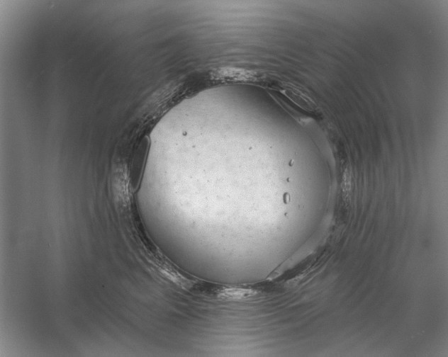 X0000056350617200509232107