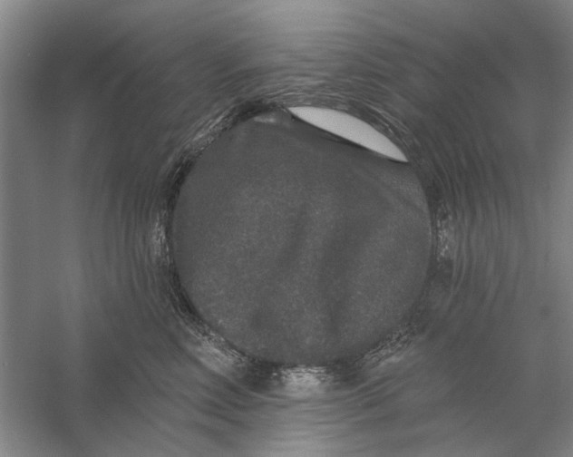 X0000056350618200509232107