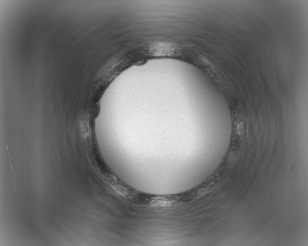 X0000056350620200509232107