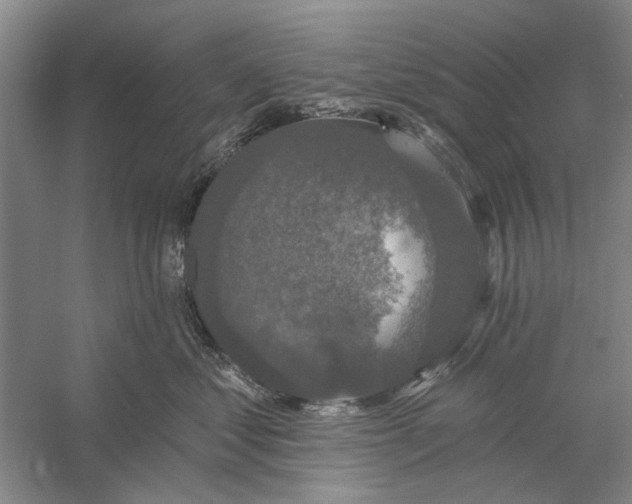 X0000056350621200509232107