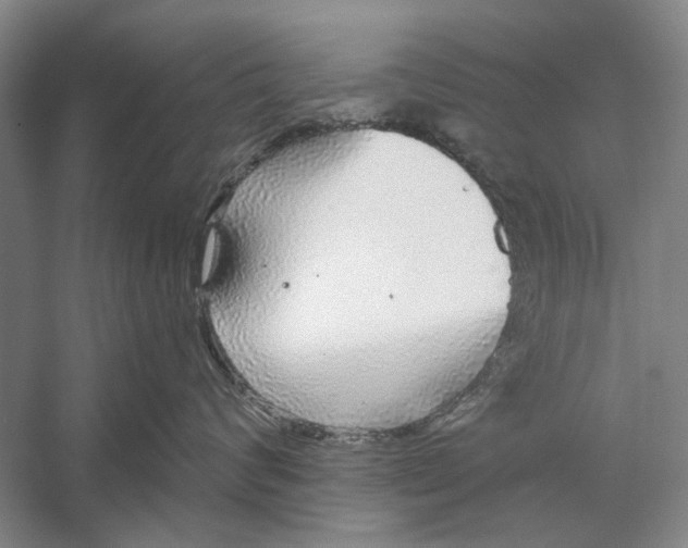 X0000056350624200509232107