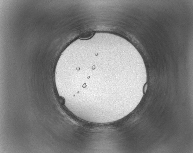 X0000056350625200509232106