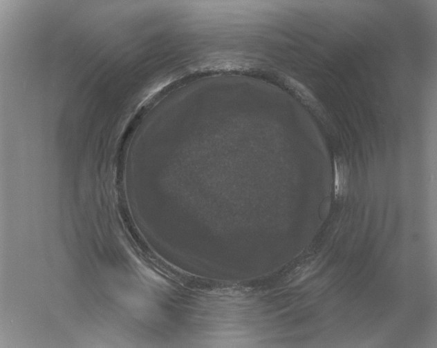 X0000056350627200509232106