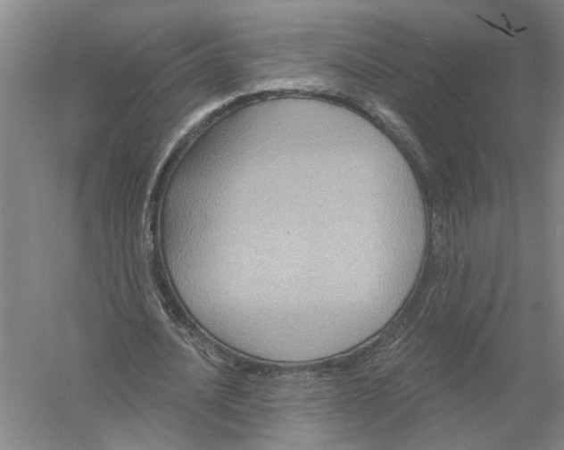 X0000056350628200509232106