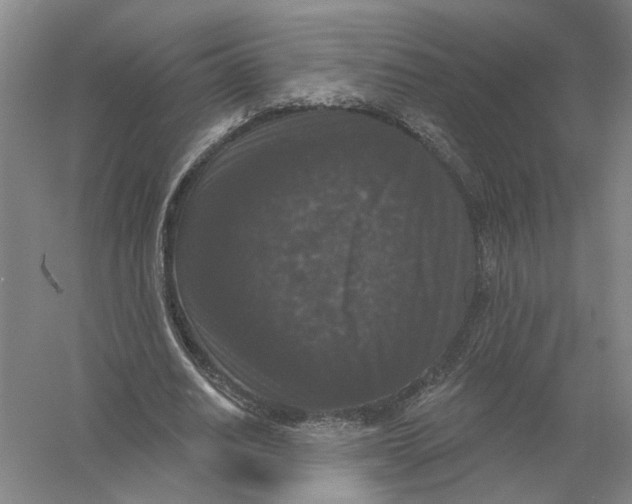 X0000056350630200509232106