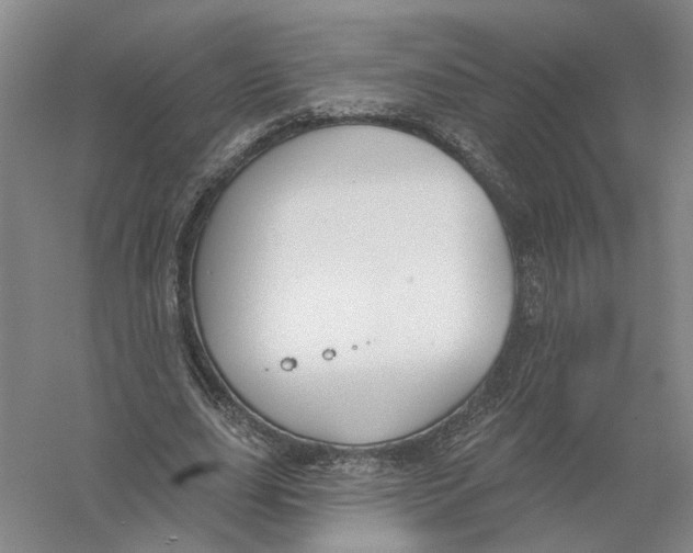 X0000056350631200509232106