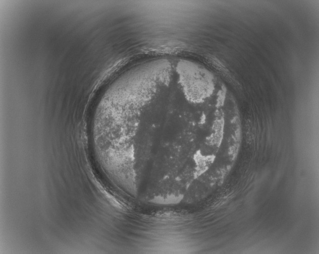 X0000056350634200509232106