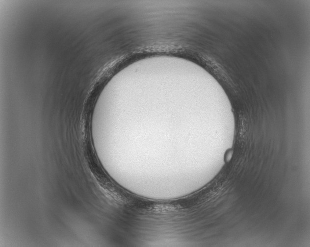 X0000056350636200509232106