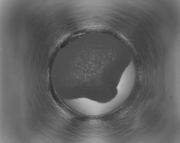 X0000056350637200509232106