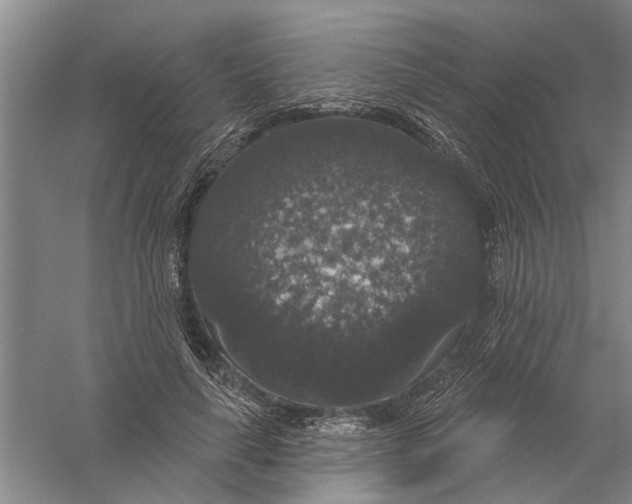 X0000056350643200509232106